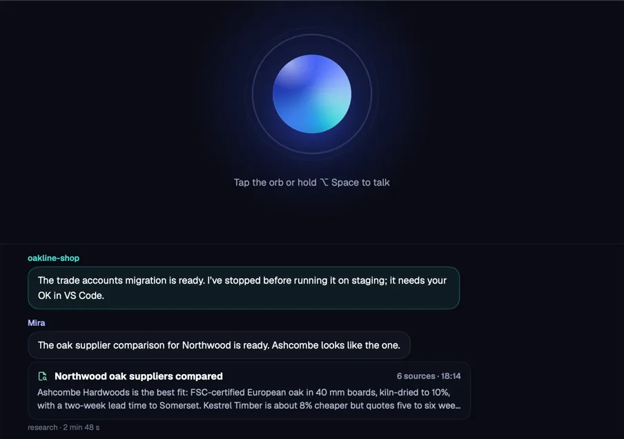 Mira's app window: the orb and the conversation, with the box to type to her.